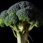 broccoli, fresh, food, healthy, vegetable, diet, green, vegetarian, fresh vegetables, raw, organic, freshness, fresh food, nutrition, natural, dieting, fruits and vegetables, healthy eating, natural food, black vegetables, black healthy, black fruits, black diet, black eating, black nutrition, black natural, broccoli, broccoli, broccoli, broccoli, broccoli