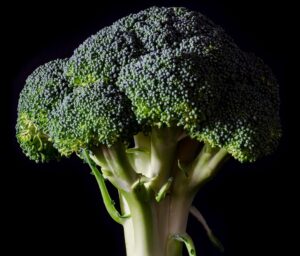 Ultimate Guide to Broccoli: From Simple Sides to Secret Ingredient